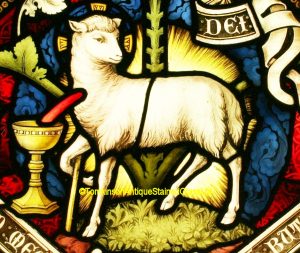 Lamb of God Stained Glass